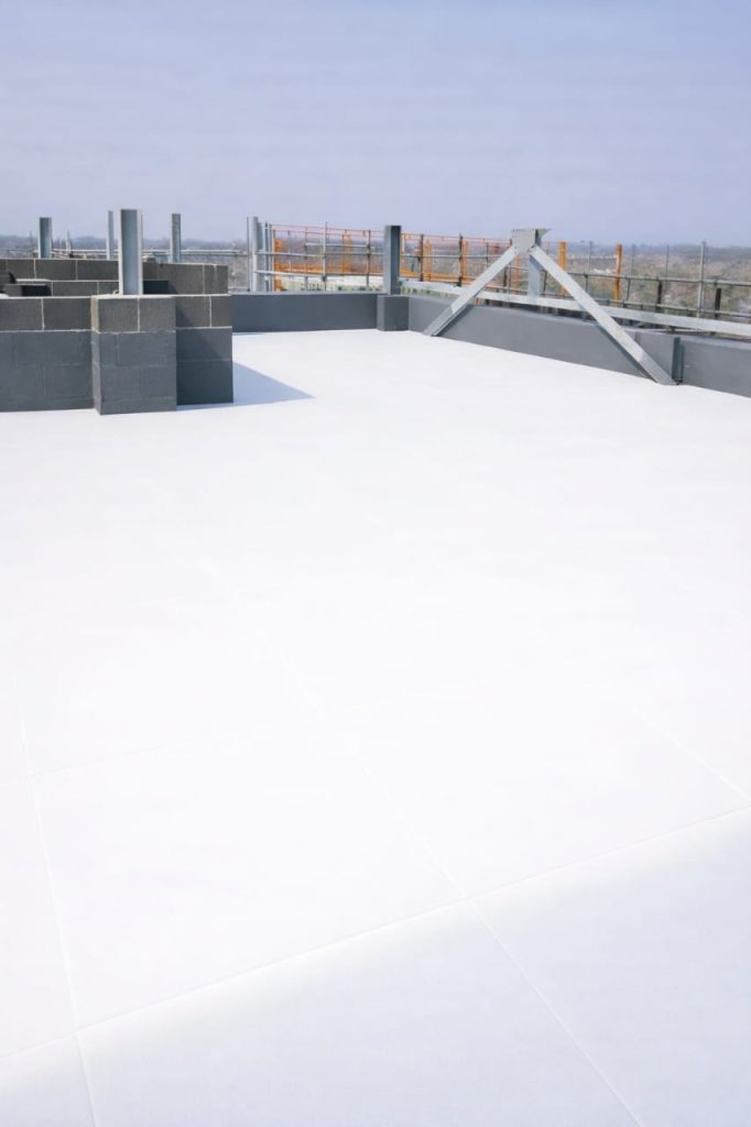 whatsapp image 2026 03 03 at 12.09.30 pm